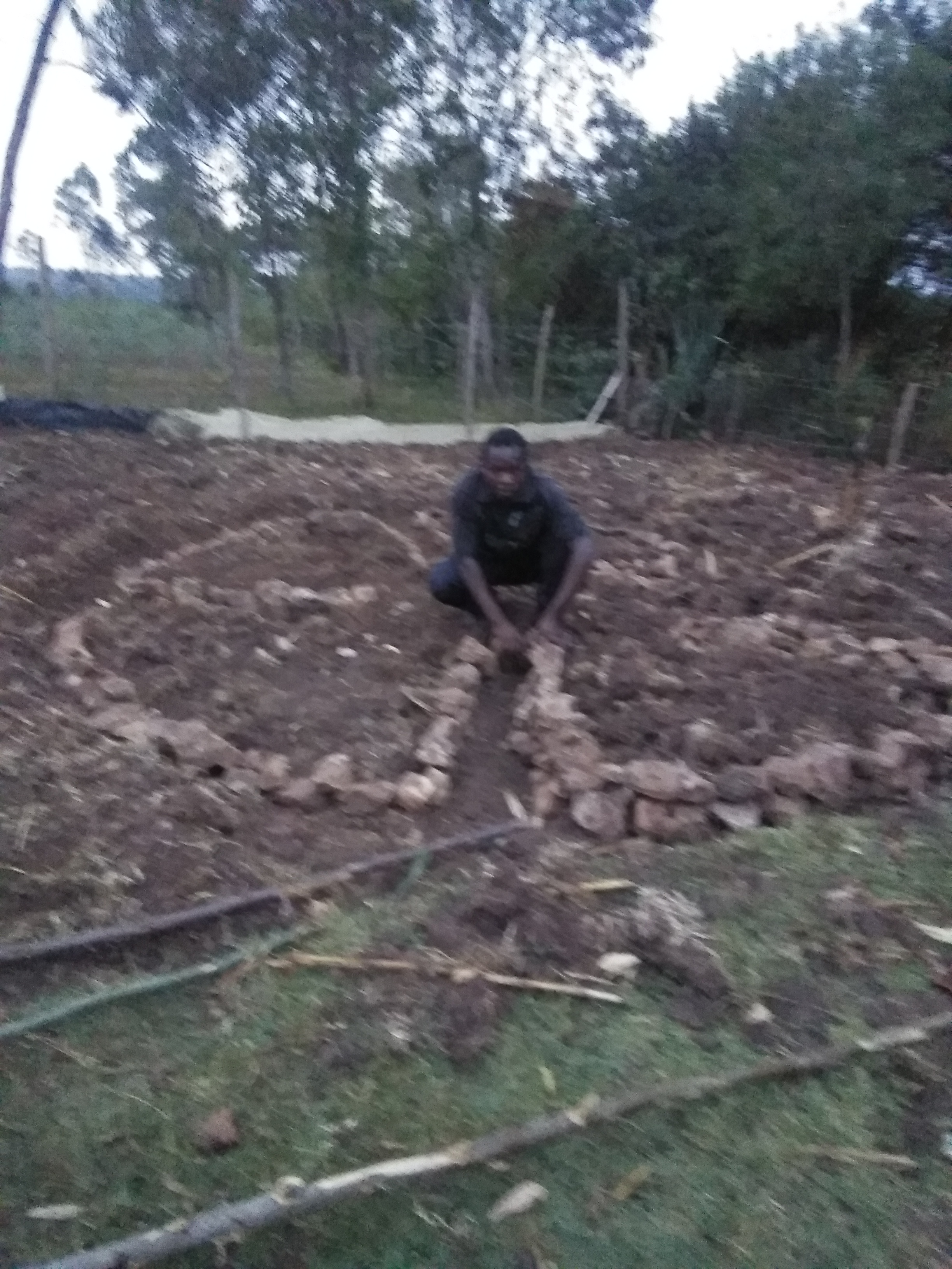 circlehole garden