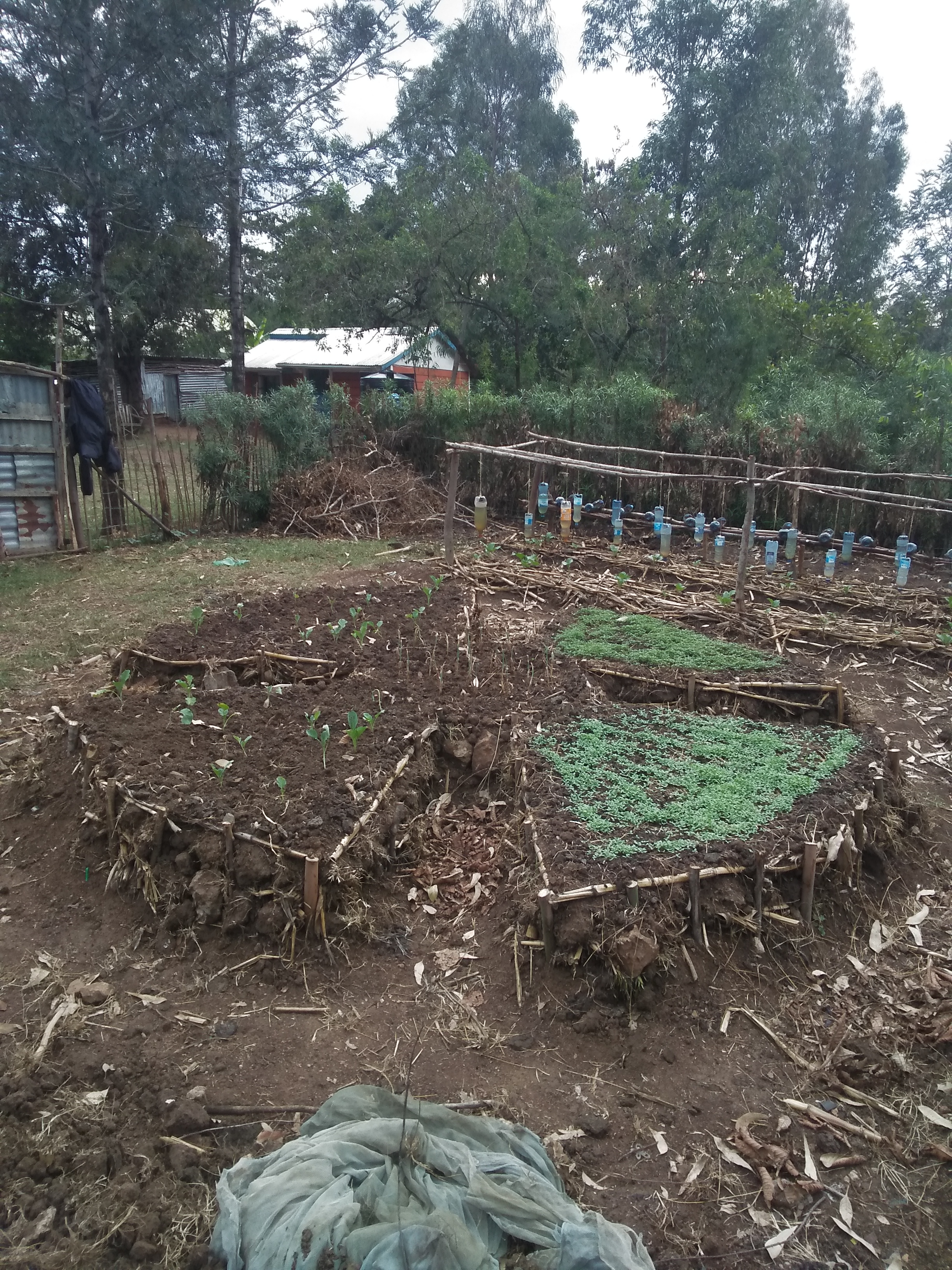 circlehole garden