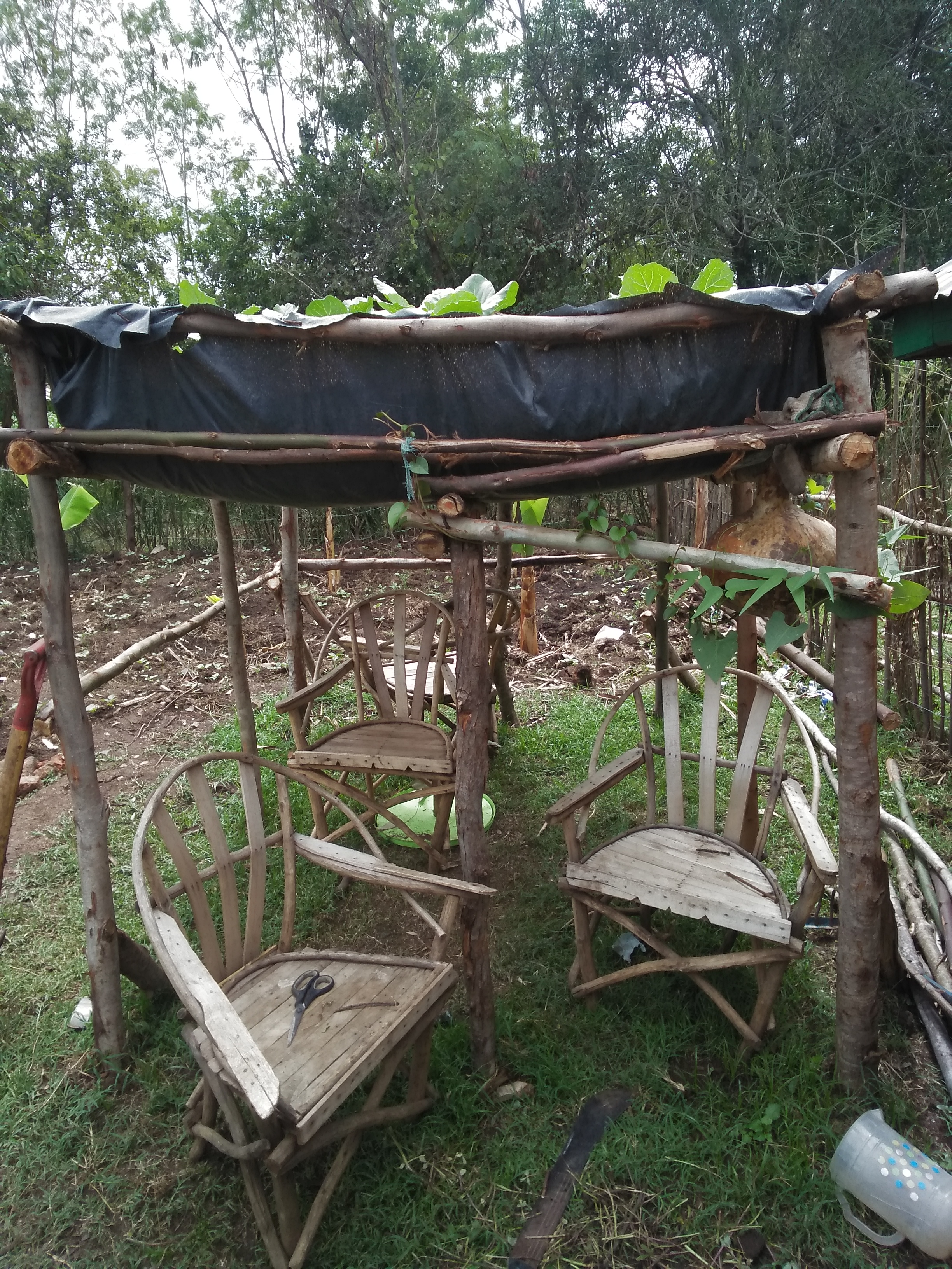 rackshade garden