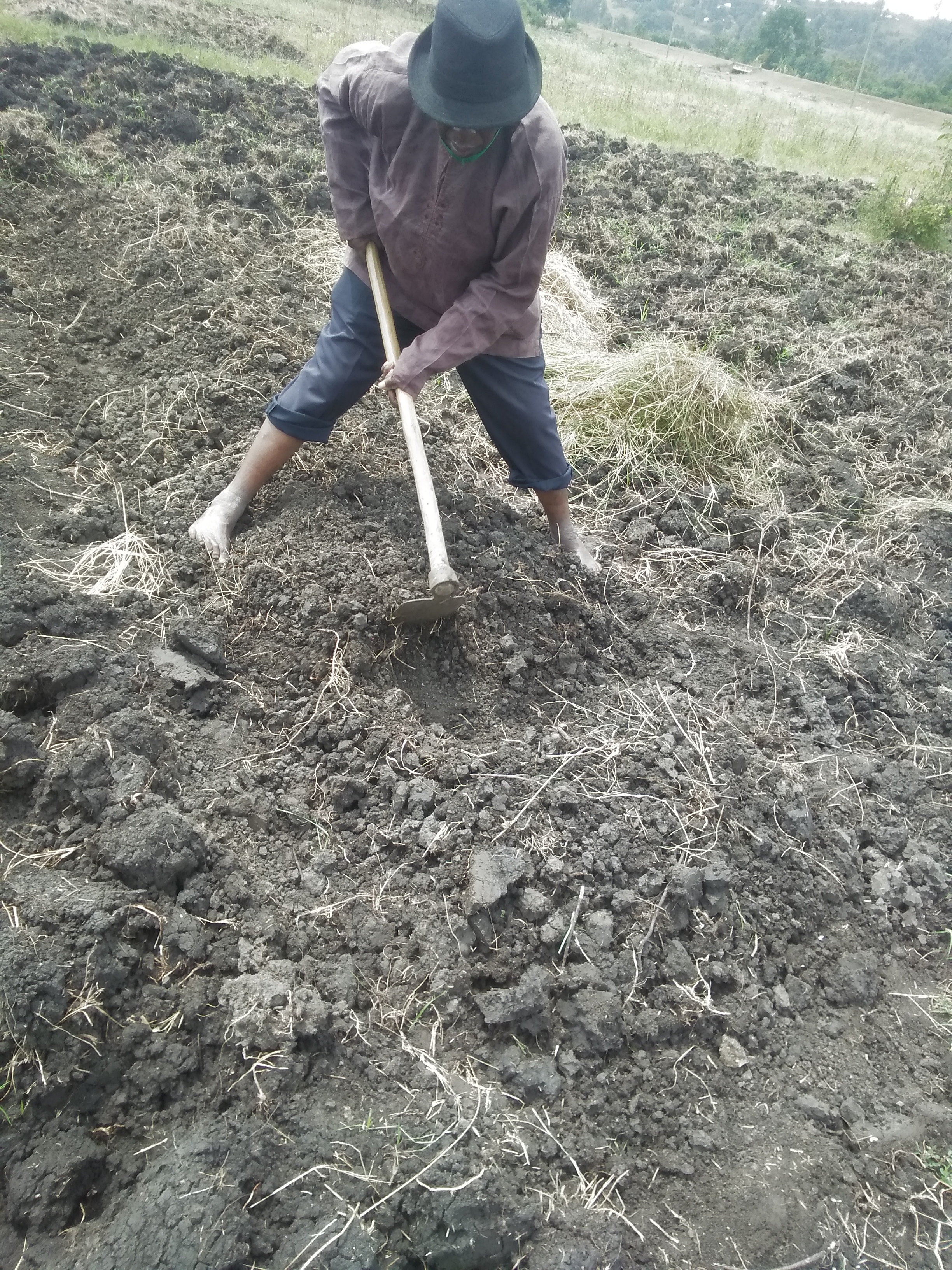 land preparation for planting