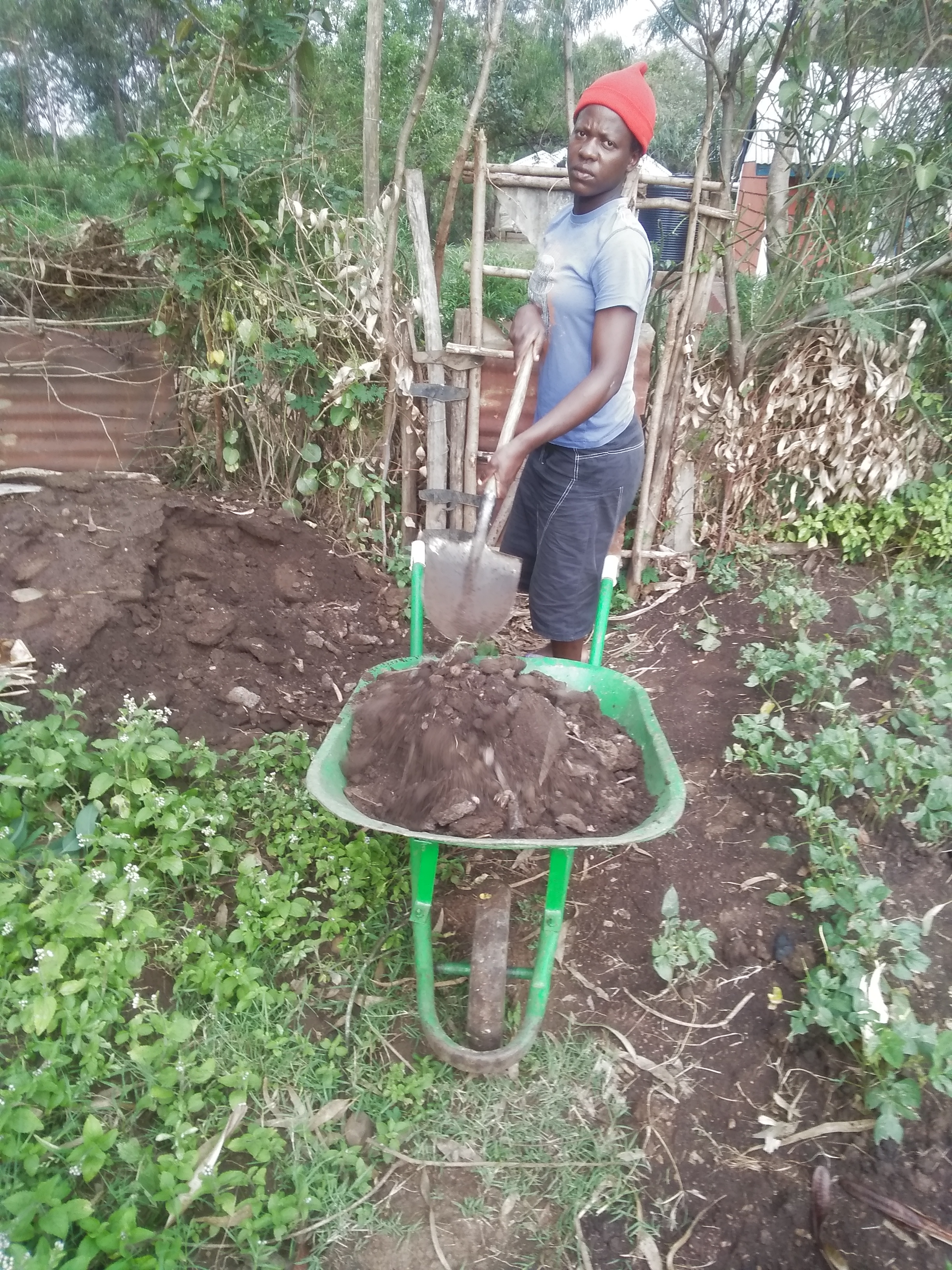 compost manure for raised bed garden