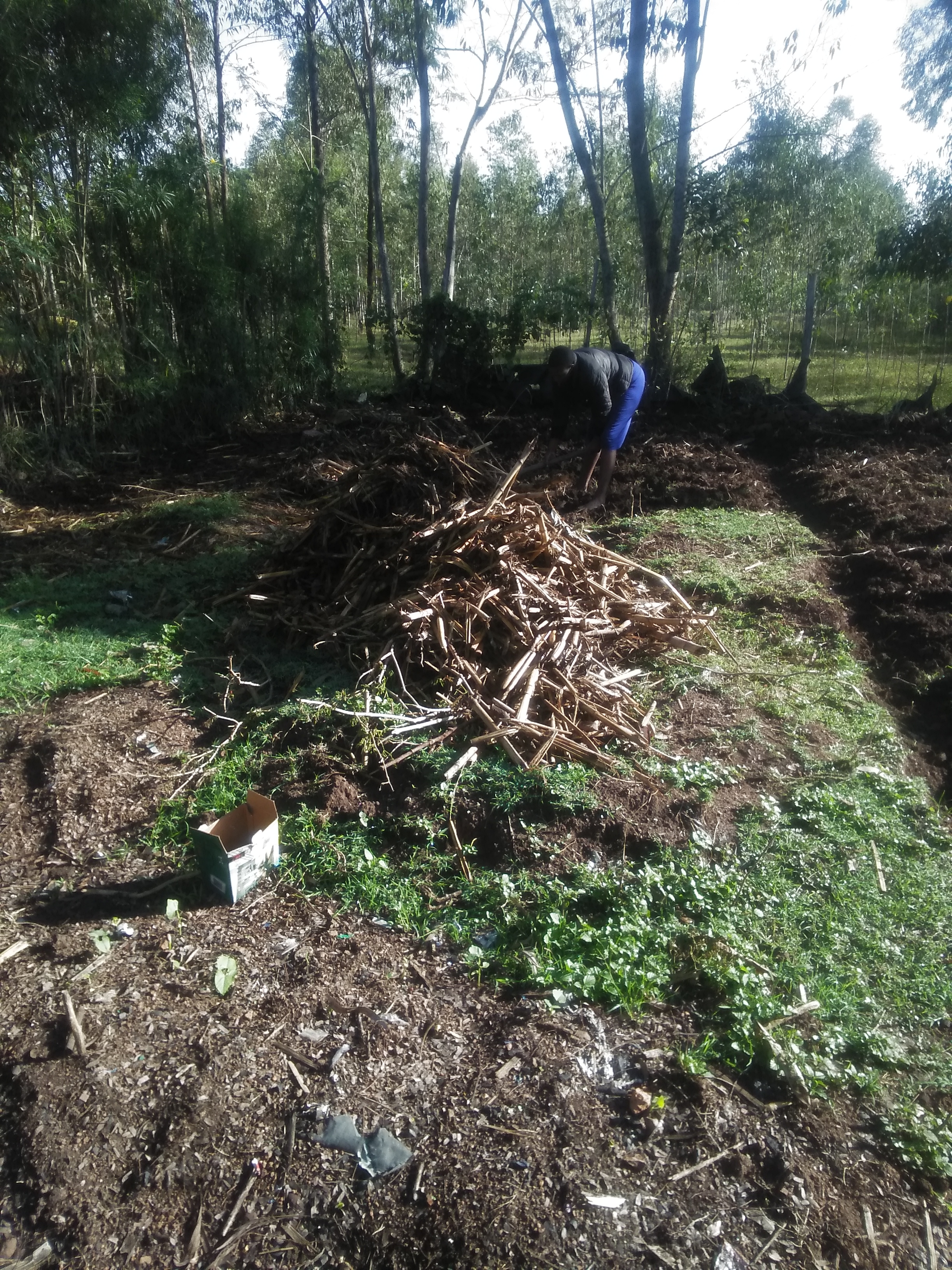 Preparing land